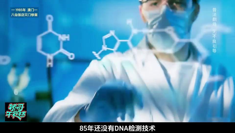新澳门内部精准公开，时代解答解释落实_3o11.16.381.0